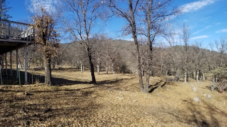 Northern California Yreka Horse Property For Sale 5 acres - image 3