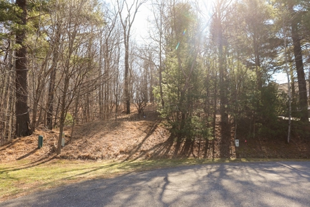 Building Lot for Sale in Roanoke County VA - image 11