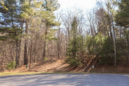 Building Lot for Sale in Roanoke County VA - image 10