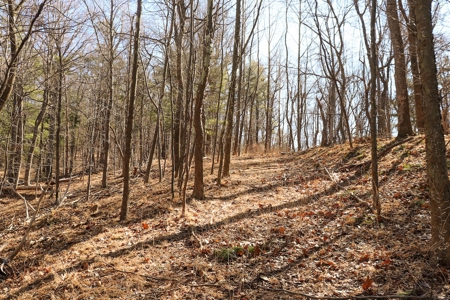 Building Lot for Sale in Roanoke County VA - image 16