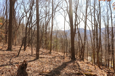 Building Lot for Sale in Roanoke County VA - image 23