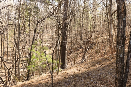 Building Lot for Sale in Roanoke County VA - image 13