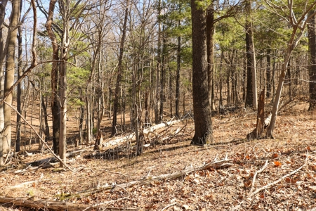Building Lot for Sale in Roanoke County VA - image 18
