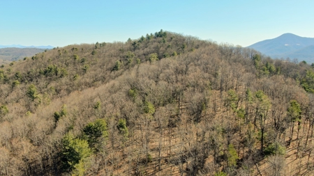 Building Lot for Sale in Roanoke County VA - image 6
