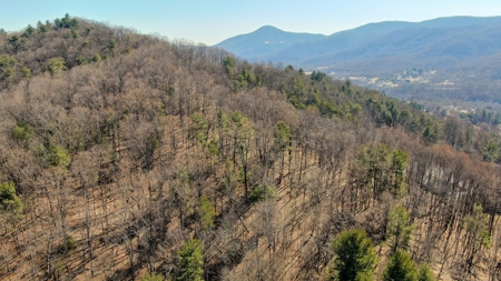 Building Lot for Sale in Roanoke County VA - image 8