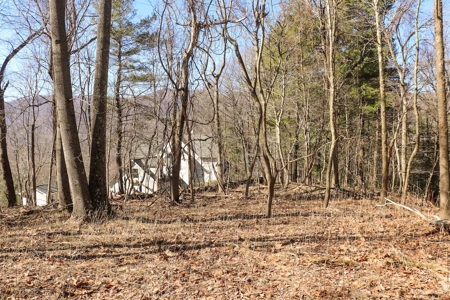 Building Lot for Sale in Roanoke County VA - image 20