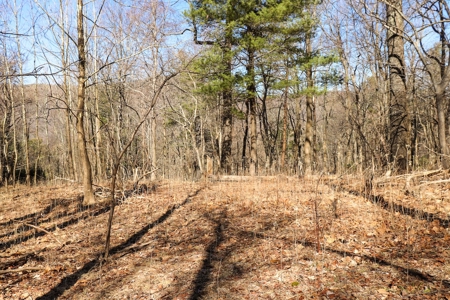 Building Lot for Sale in Roanoke County VA - image 21