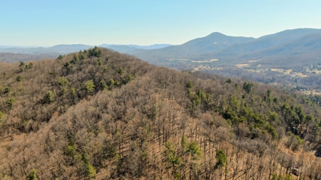 Building Lot for Sale in Roanoke County VA - image 3