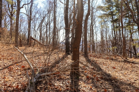 Building Lot for Sale in Roanoke County VA - image 19