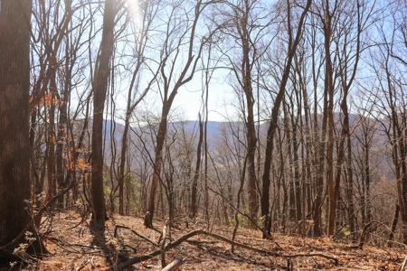 Building Lot for Sale in Roanoke County VA - image 24