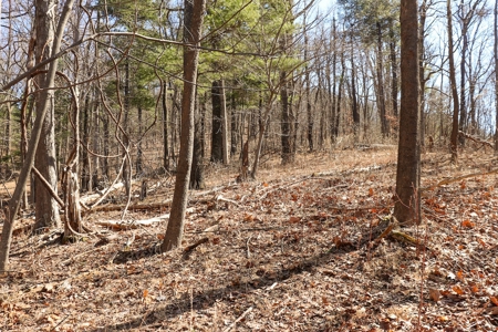 Building Lot for Sale in Roanoke County VA - image 17