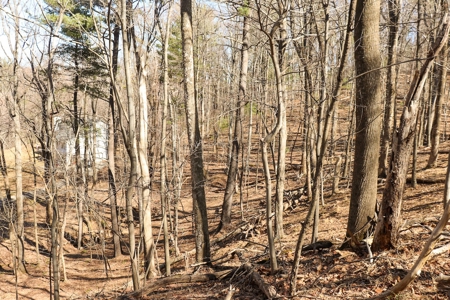 Building Lot for Sale in Roanoke County VA - image 26