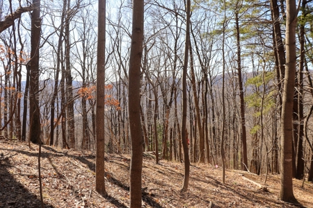 Building Lot for Sale in Roanoke County VA - image 22