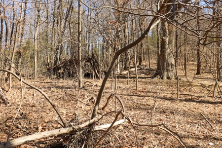 Building Lot for Sale in Roanoke County VA - image 25