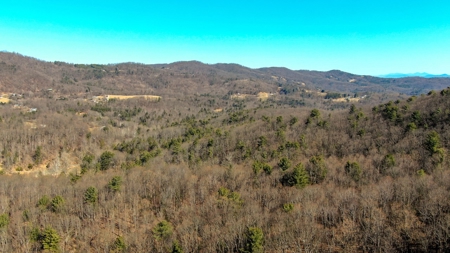 Building Lot for Sale in Roanoke County VA - image 9