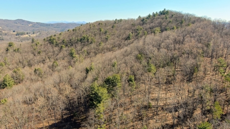 Building Lot for Sale in Roanoke County VA - image 7