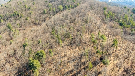 Building Lot for Sale in Roanoke County VA - image 5