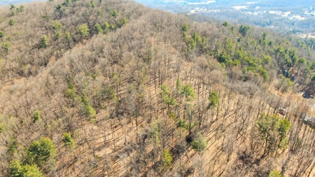 Building Lot for Sale in Roanoke County VA - image 2