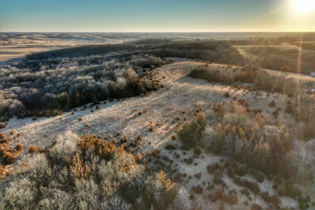 Union County, Iowa Hunting Land w/CRP & Lodging Income - image 4