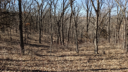 Union County, Iowa Hunting Land w/CRP & Lodging Income - image 27