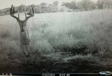 Union County, Iowa Hunting Land w/CRP & Lodging Income - image 34