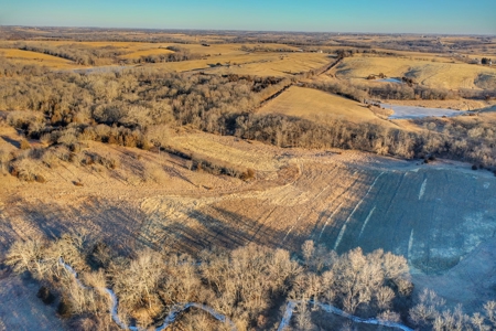 Union County, Iowa Hunting Land w/CRP & Lodging Income - image 6