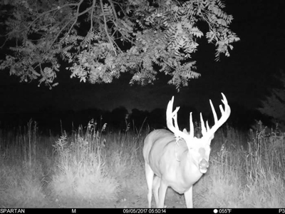 Union County, Iowa Hunting Land w/CRP & Lodging Income - image 28