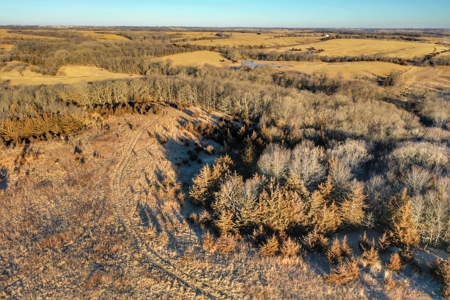 Union County, Iowa Hunting Land w/CRP & Lodging Income - image 7