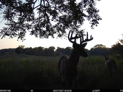 Union County, Iowa Hunting Land w/CRP & Lodging Income - image 31