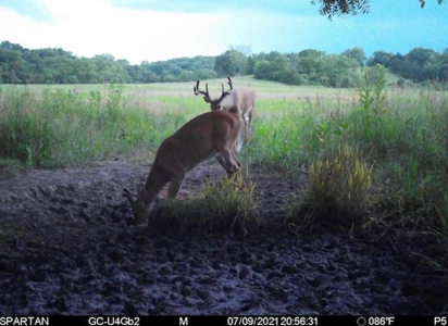 Union County, Iowa Hunting Land w/CRP & Lodging Income - image 30