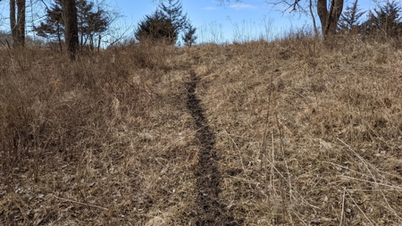 Union County, Iowa Hunting Land w/CRP & Lodging Income - image 24