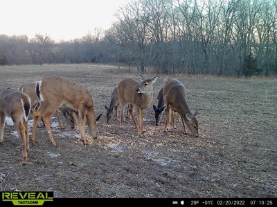 Union County, Iowa Hunting Land w/CRP & Lodging Income - image 35