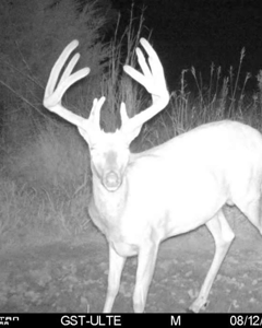 Union County, Iowa Hunting Land w/CRP & Lodging Income - image 32