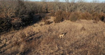 Union County, Iowa Hunting Land w/CRP & Lodging Income - image 21