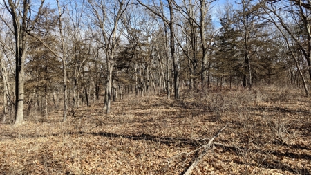 Union County, Iowa Hunting Land w/CRP & Lodging Income - image 25