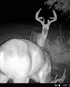 Union County, Iowa Hunting Land w/CRP & Lodging Income - image 33