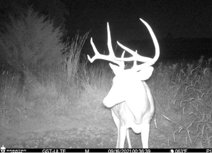 Union County, Iowa Hunting Land w/CRP & Lodging Income - image 29