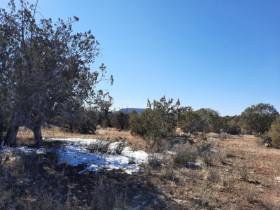Beautiful Property - image 1