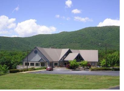 Cabin in N.GA Mountains - image 14