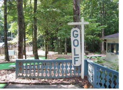 Cabin in N.GA Mountains - image 11