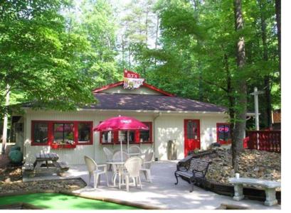 Cabin in N.GA Mountains - image 8