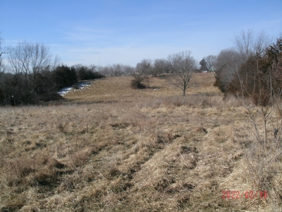 Thirteen Acres M/L With Pond, Pasture And Old Home - image 1