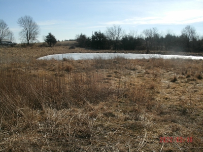 Thirteen Acres M/L With Pond, Pasture And Old Home - image 11
