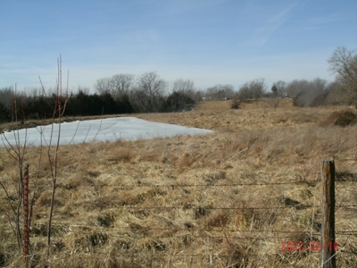 Thirteen Acres M/L With Pond, Pasture And Old Home - image 4