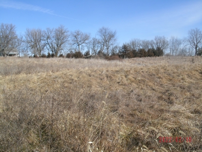 Thirteen Acres M/L With Pond, Pasture And Old Home - image 2