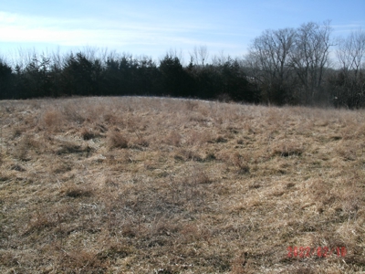 Thirteen Acres M/L With Pond, Pasture And Old Home - image 10