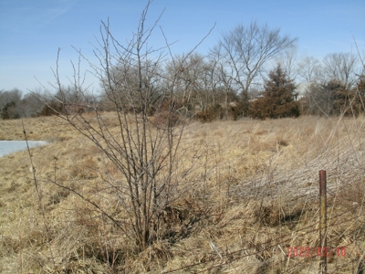 Thirteen Acres M/L With Pond, Pasture And Old Home - image 6