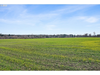Versatile Land Parcel w/Riverfront Access in Castle Rock, WA - image 5