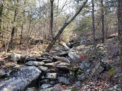 Sardis Lake Recreational Cabin & 10 Acres Land - image 21