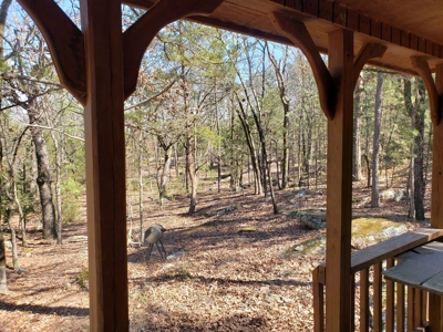 Sardis Lake Recreational Cabin & 10 Acres Land - image 20